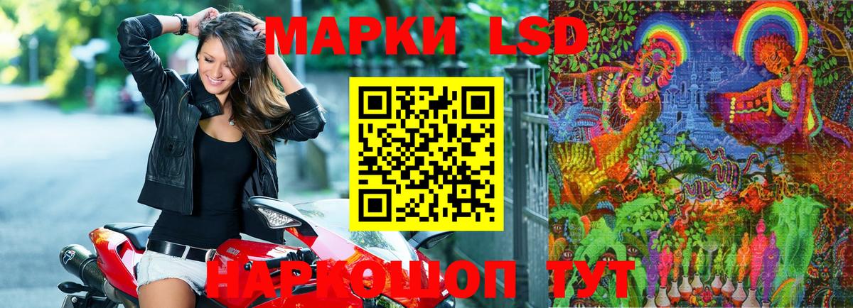 Новороссийск  Наркотические марки 1500мкг  Вход с VPN  Наркотические марки 1500мкг 