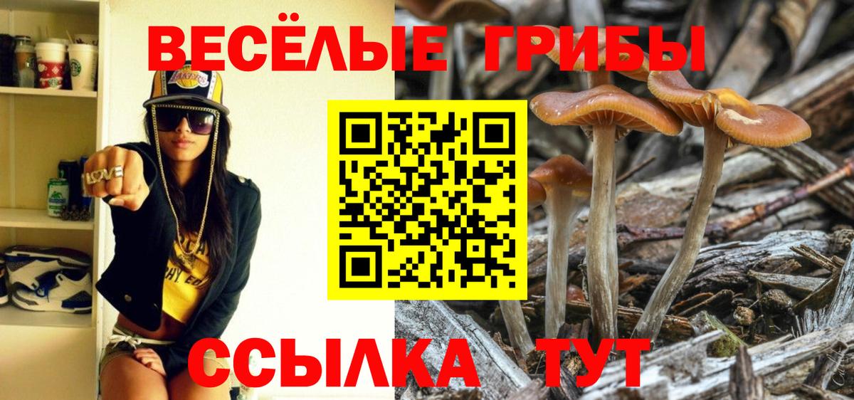 Галлюциногенные грибы мухоморы  даркнет сайт  Новороссийск  Вход с VPN 