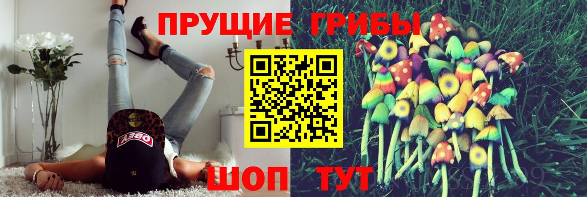 Псилоцибиновые грибы мицелий Новороссийск